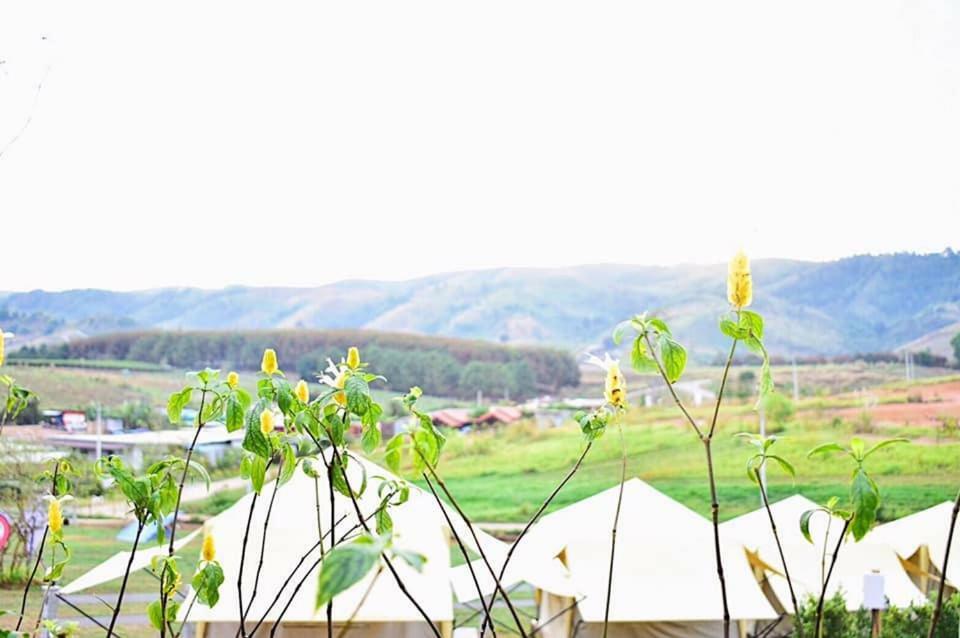 Готель Kondee Cino Cafe & Glamping Кхао-Кхо Екстер'єр фото